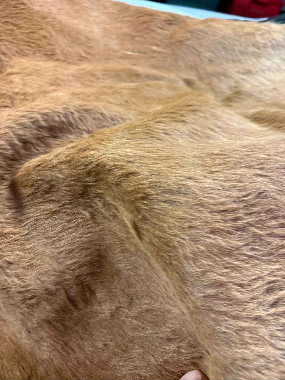 IKEA Koldby 100% cowhide fur leather Area rug Brown And Cream Large.